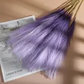 Gradient Purple