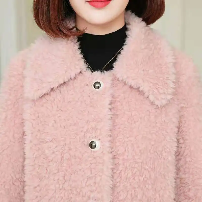 Рисунок 4 - Китайская Новогодняя шерстяная