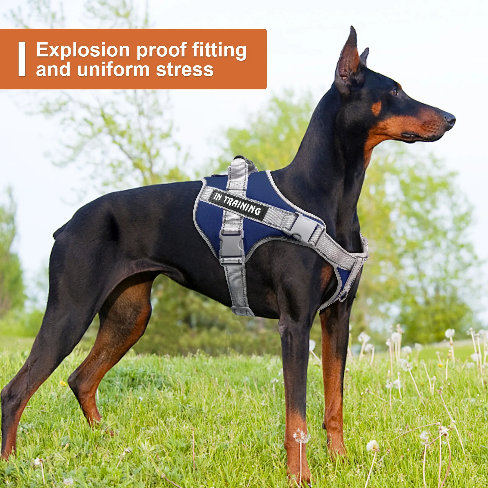 No-Pull Tactical Dog Harness 2
