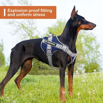 No-Pull Tactical Dog Harness 2