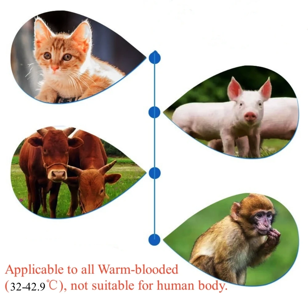 Thermomètre auriculaire infrarouge pour animaux de compagnie pour chiens et  chats, version rechargeable, modes auriculaires mesure avec précision la  température de l'animal de compagnie, ℃/ commutation facile : :  Animalerie