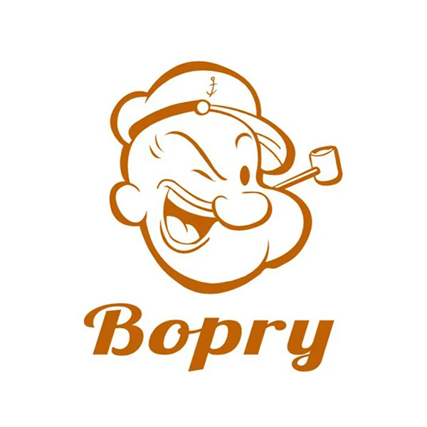 Bopry Luxury Pillowcase Store