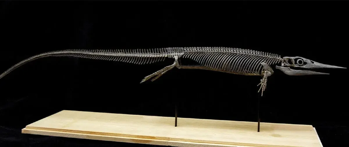 

Модель VWUVWU Xinpusaurus, талаттозавра, динозавр, статуя животного, коллекционер, украшение для сцены GK, подарок на день рождения, окрашенная игрушка для взрослых