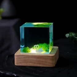 5cm Cube Organism Resin Table Light Creactive Art Decoration Lamp Swan Starfish Tortoise Theme Night Light USB Charge
