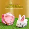 New Watch Remote Control Rabbit Car Children's 2.4G Remote Control Plush Rabbit Remote Control Toy Holiday Gift Birthday Gift 2