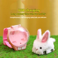 New Watch Remote Control Rabbit Car Children's 2.4G Remote Control Plush Rabbit Remote Control Toy Holiday Gift Birthday Gift 2