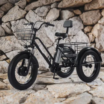 Triciclo elettrico assistito a pedale per pneumatici grassi da 20 pollici per adulti 48V 500W 12AH Batteria al litio rimovibile per bici elettrica da uomo potente