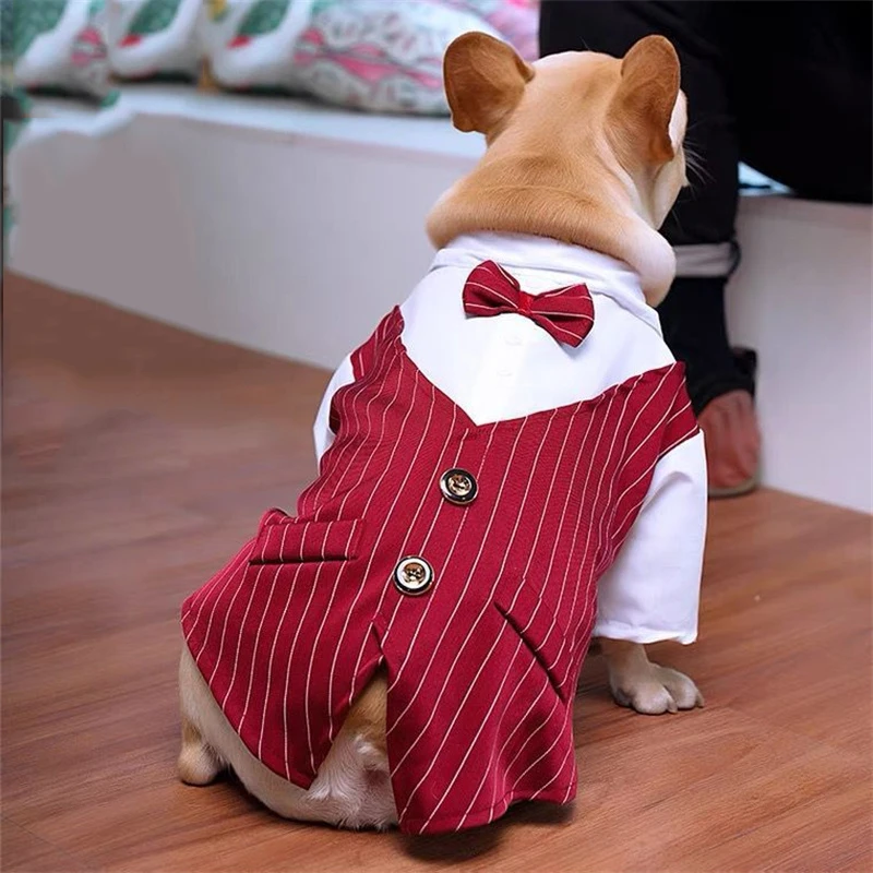 Gestreiftes Hundekleid mit Schleife, das das Rückendesign zeigt.