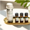 Hotel Collection Essential Oil Scent Luxury Hotel Inspired Aromatherapy Scent Diffuser Oil Perfumes for Essential Oil Diffusers 1