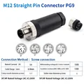 PG9 Male Straight