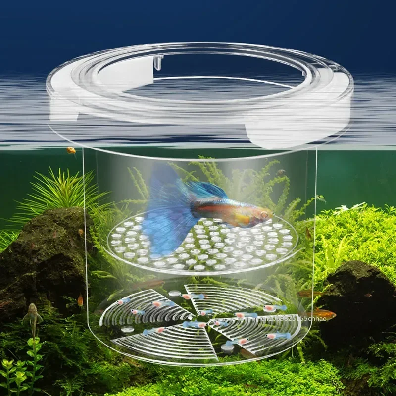 Acrylic Floating Fish Breeding Isolation Box Round Aquarium Breeder Feeder Fish Tank Hatching Incubator Aquarium Hatchery Tools