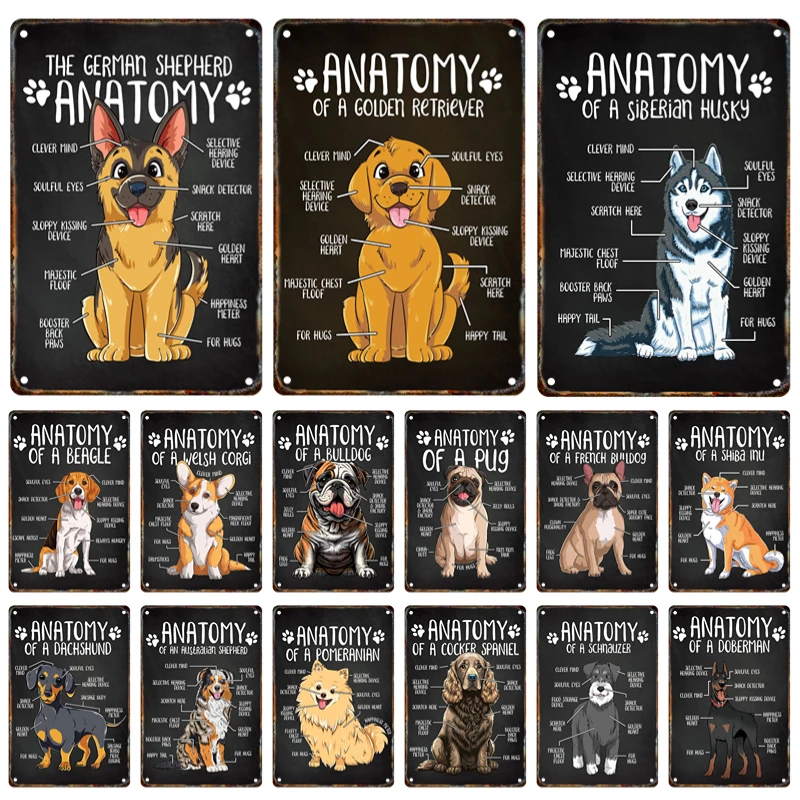 

Cute Dog Anatomy Pet Metal Signage Tin Painting Vintage Dog Poster Guide Plaque Home Store Pet Shop Wall Art Decor Mural Aesthet
