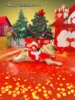 Pet Christmas clothes Santa transformation costumes, festive funny and cute outfits for parties, dog and cat party clothes 3