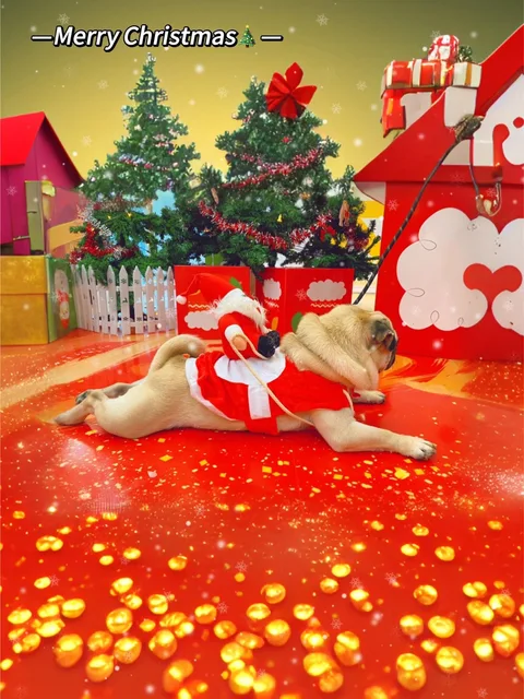 Pet Christmas clothes Santa transformation costumes, festive funny and cute outfits for parties, dog and cat party clothes 3
