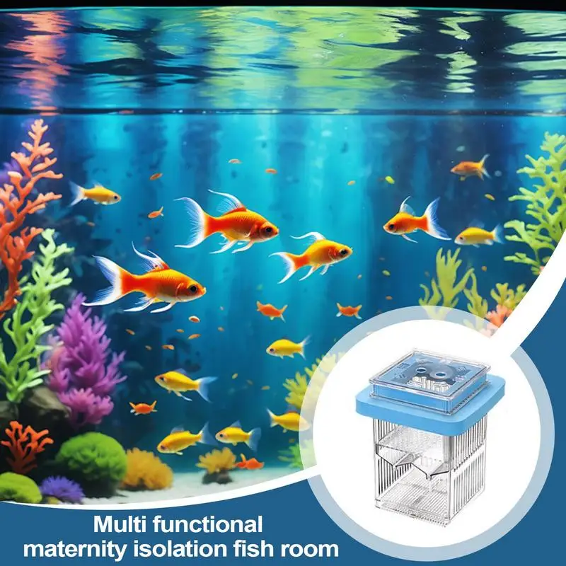 Aquarium Fish Breeder Box Clear Guppy Fish Tank Breeder Case Tank Divider Acclimation Case Mother Incubator For Shrimp