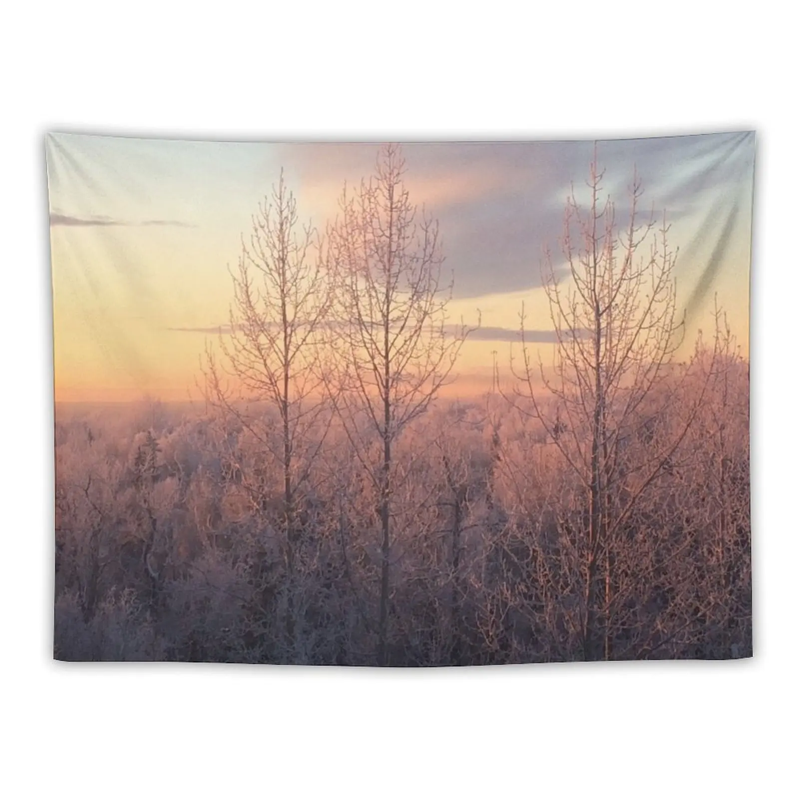 

Pastel Winter Sunset Tapestry Wall Decor Room Aesthetic Decoration For Home Tapestry