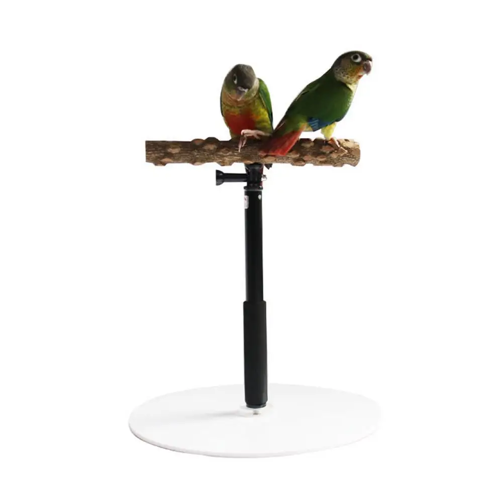 

Adjustable Bird Perch Bird Training Rotary Perching Frame Parrot T-frame Bird Wooden Stand Pet Bird Supplies Bird Accessories