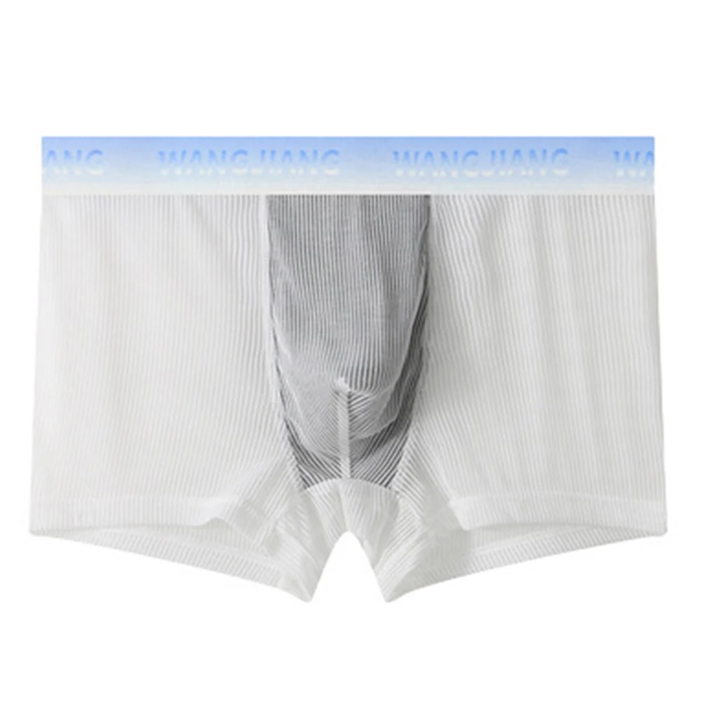 

Men Sexy Underwear Seamless Boxer Briefs Ice Silk Shorts Comfort Thin Panties Pouch Underpants See Through Breathable Knickers