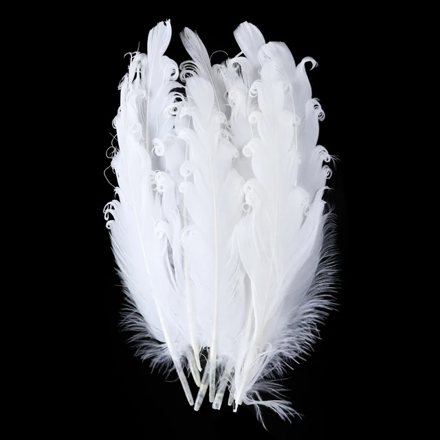 Pinsheng 300 Piezas Plumas Blancas Naturales, Plumas De Ganso Para Bricolaje 770911