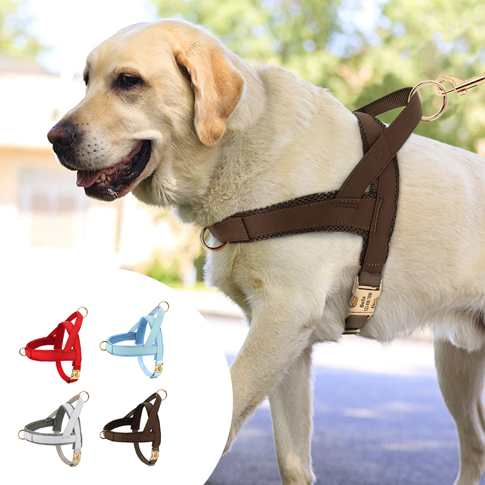 What Are Dog Harnesses Made Of