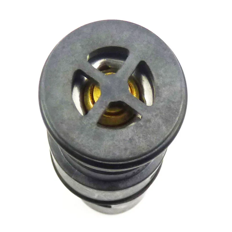 Coolant Radiator Expansion Tank thermostat 17111437362/1711 1437 362 for BMW3 E46 X5 E53 Z4 E85 E86