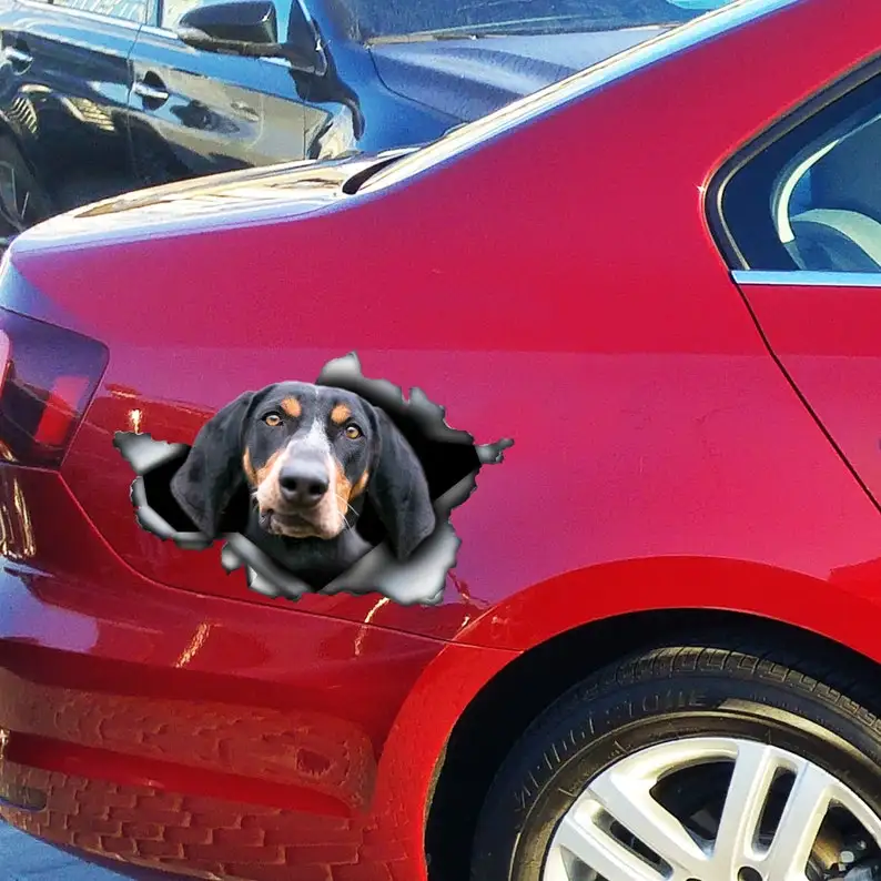 WZCNDIDI 4x6 Inch Dog Grandma Magnet Decal - Heavy Duty Car Magnet Sticker For Vehicle