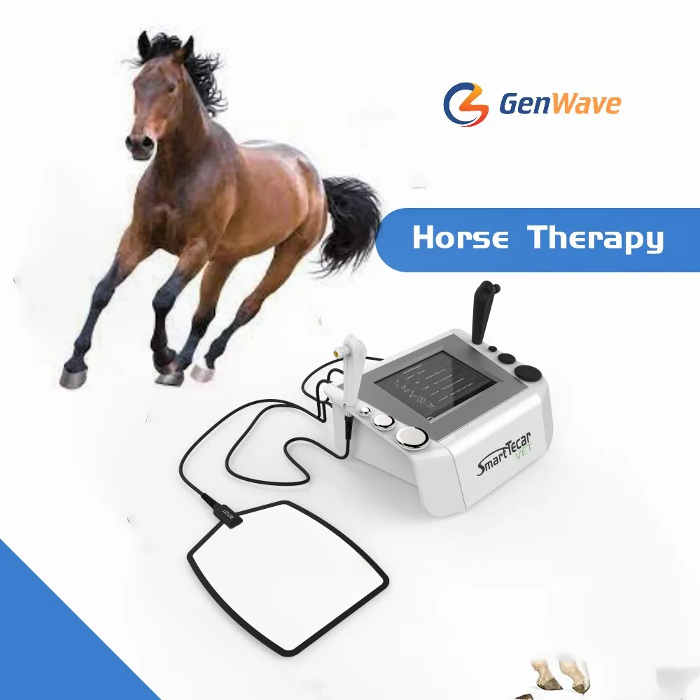 Equine Tecar Therapy Diathermy Machine Cet Ret Rf Rehabilitator Therapy Per Animali Domestici Cavalli Cane Gatto
