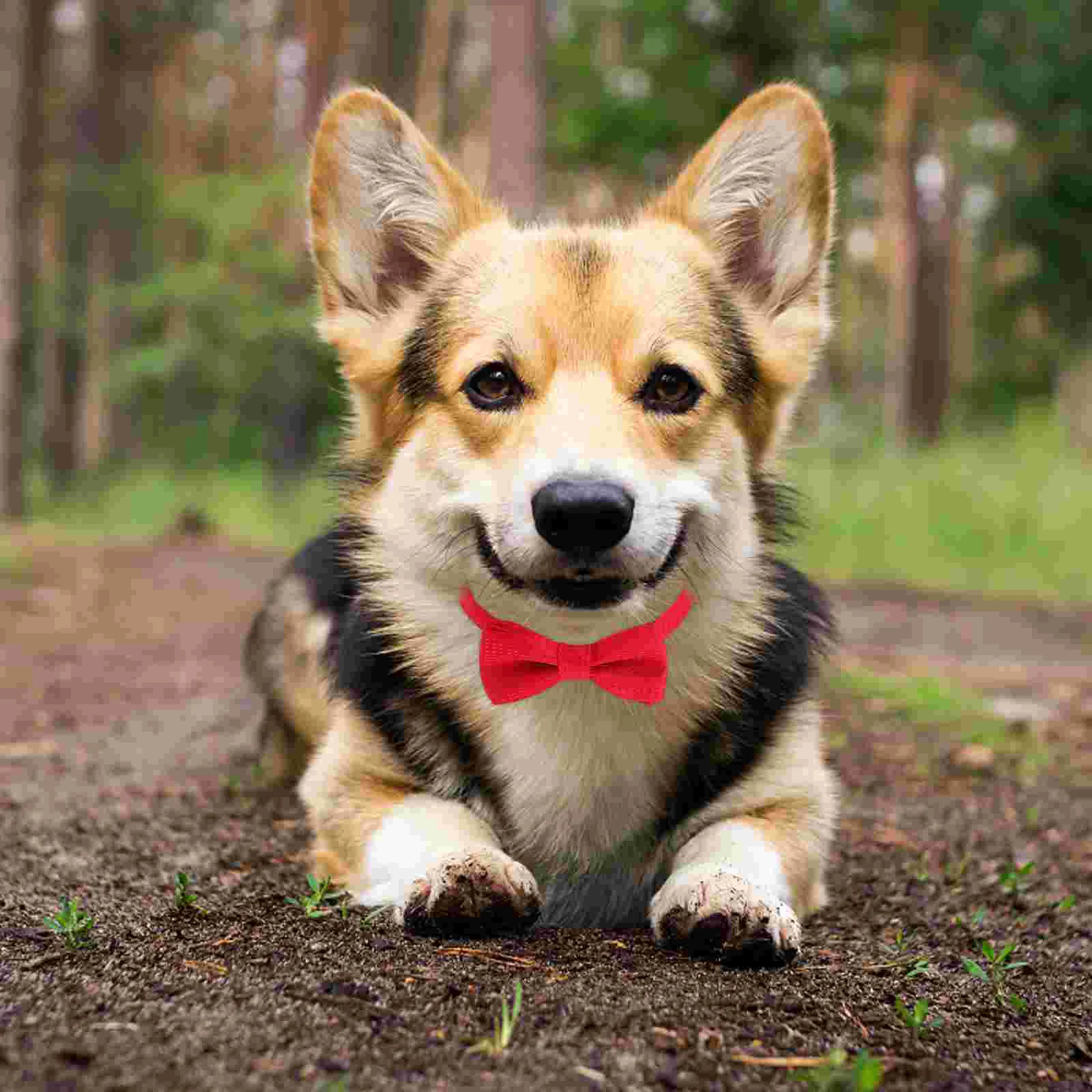 

Adjustable Pet Collar Bow Tie for Dog Collars Cat with Spot Big Performance