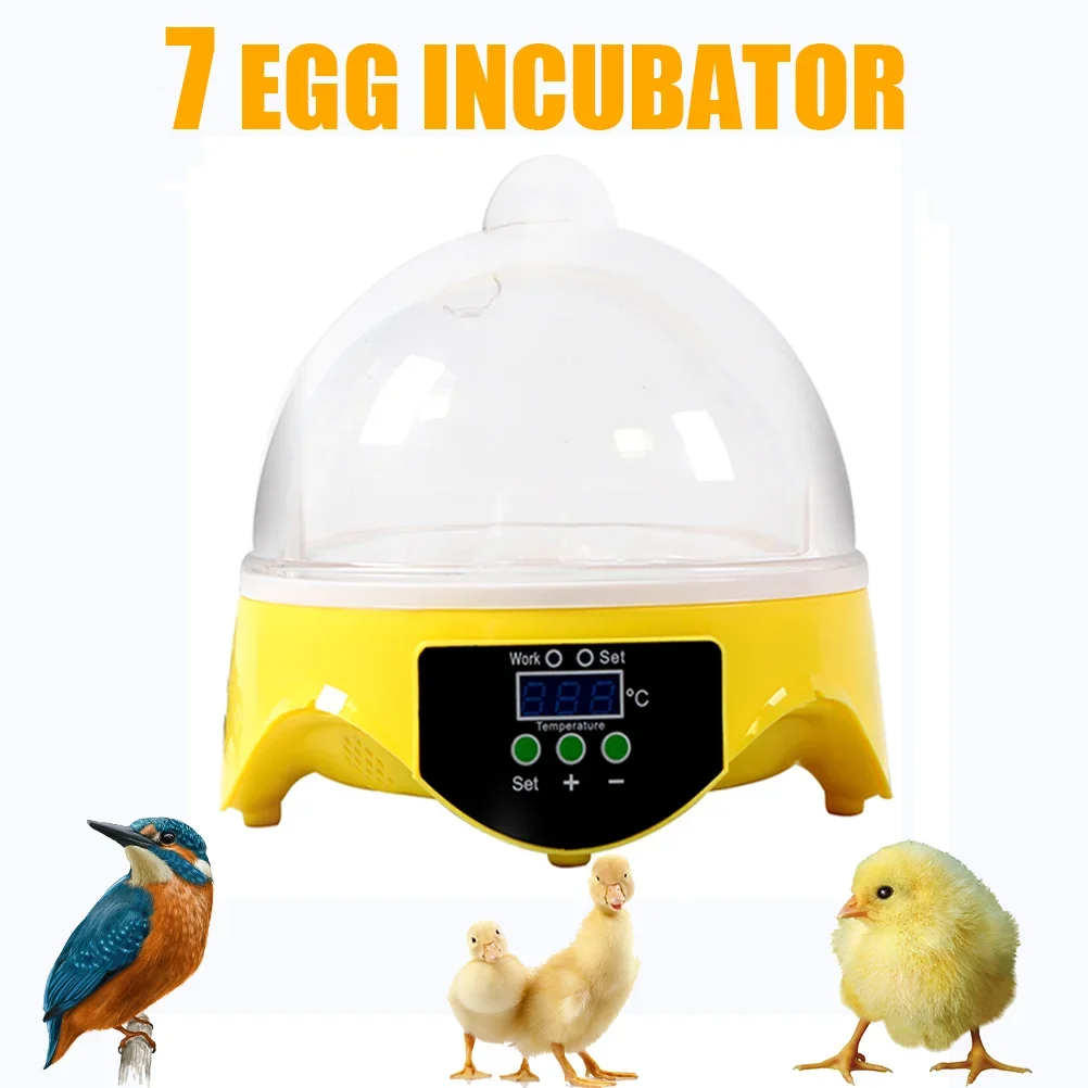 

HHD 7 Eggs Machine 110V/220V Automatic Digital Mini Incubator Egg Incubator Adjustable Temperature Hatchery Brooder For Chickens