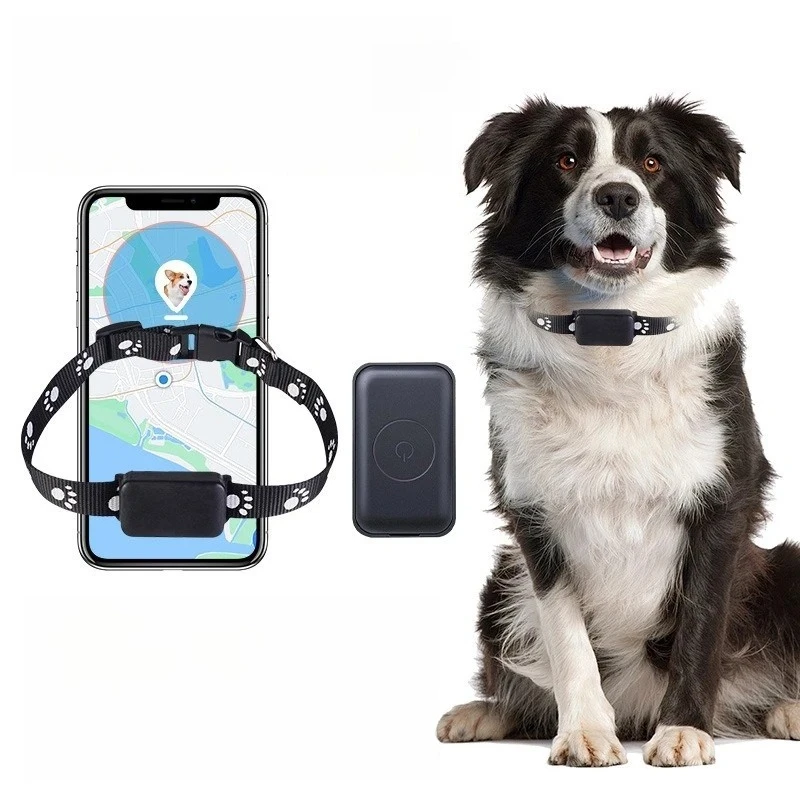 Dog GPS Tracker RealTime Tracking App 1