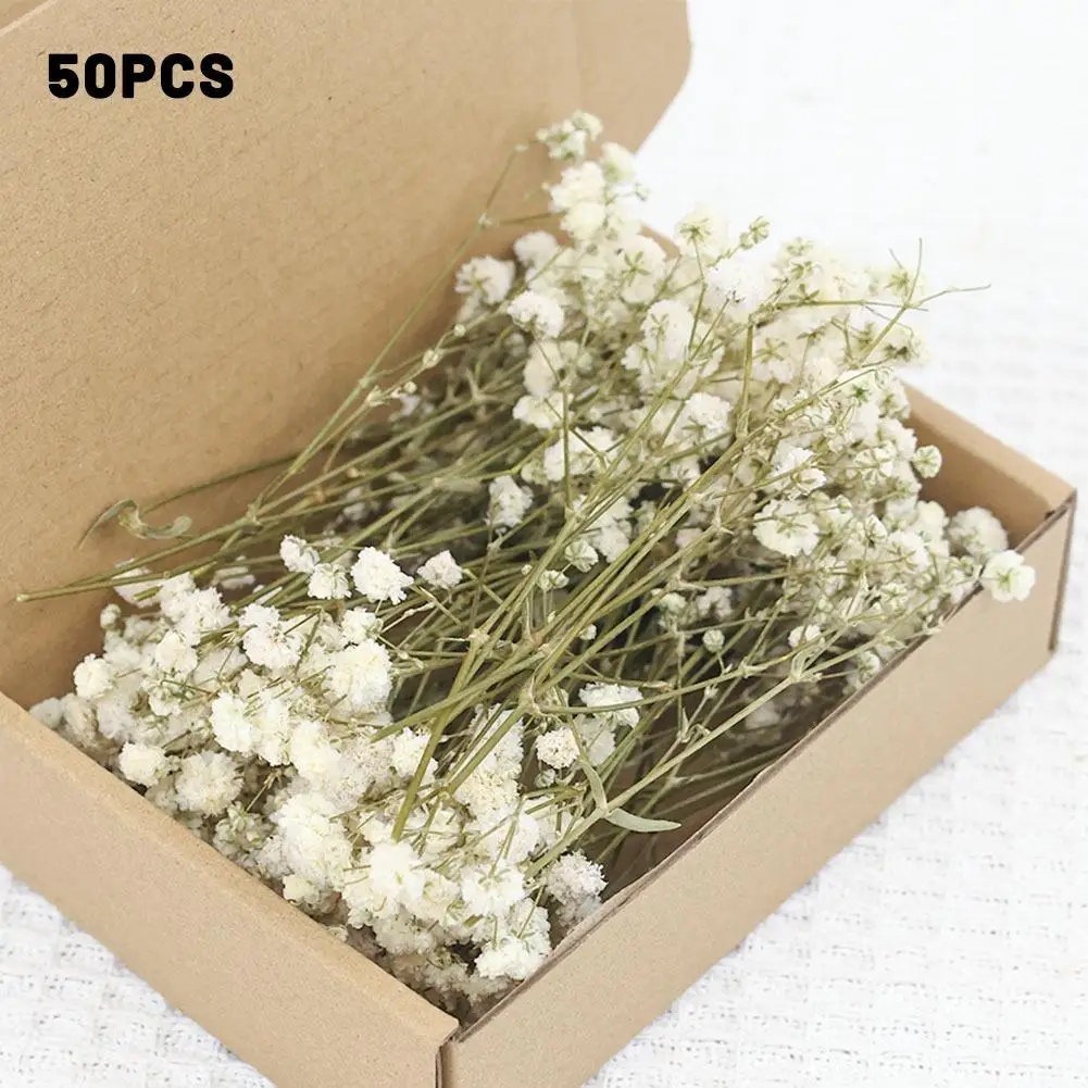 9 Farben Schleierkraut Trockenblumen Bouquet Vase Umschlag DIY Blumenarrangement Hochzeit Party Künstlerische Valentinstag Geschenke 2026 – Detail 25