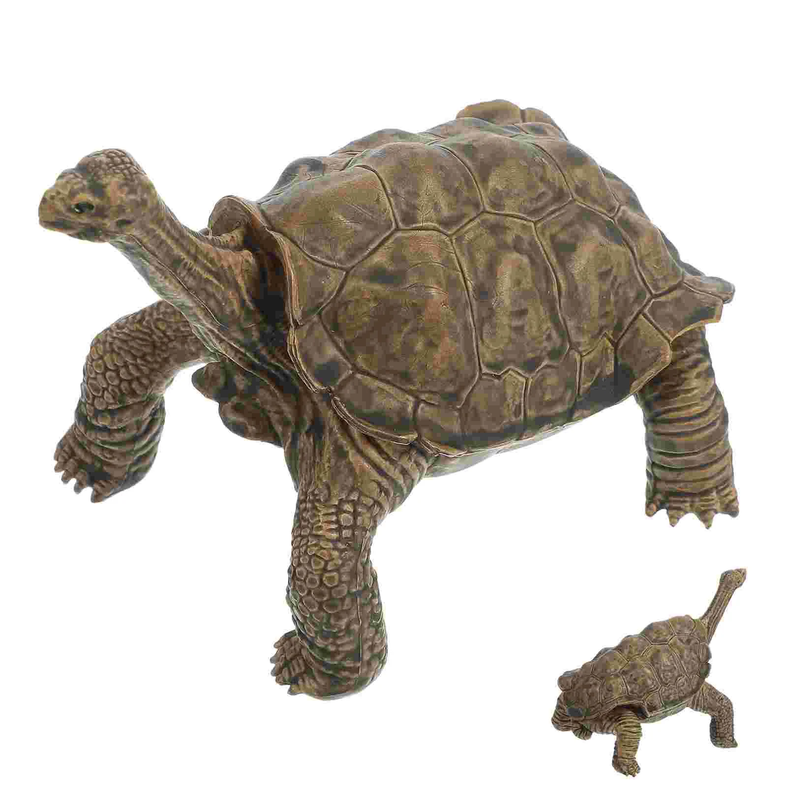 

Tortoise Model Turtle Figurine Small Statue Kids' Educational Toy Fake Figures Simulation Decoration Plastic