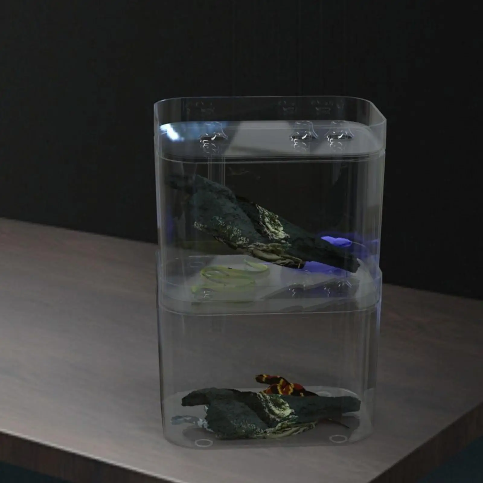 파충류 테라리움 액세서리 PET 소재 투명 뱀 사육 상자 미니 서식지 케이지 (거북이 먹이통 및 용품 포함)