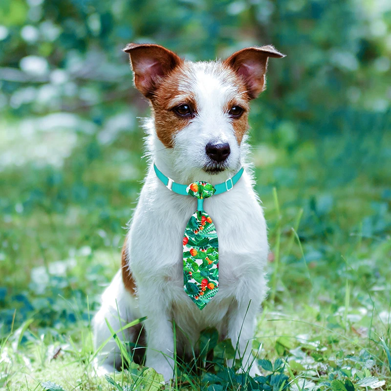 10 Pack Dog Bow Ties for Small Pets