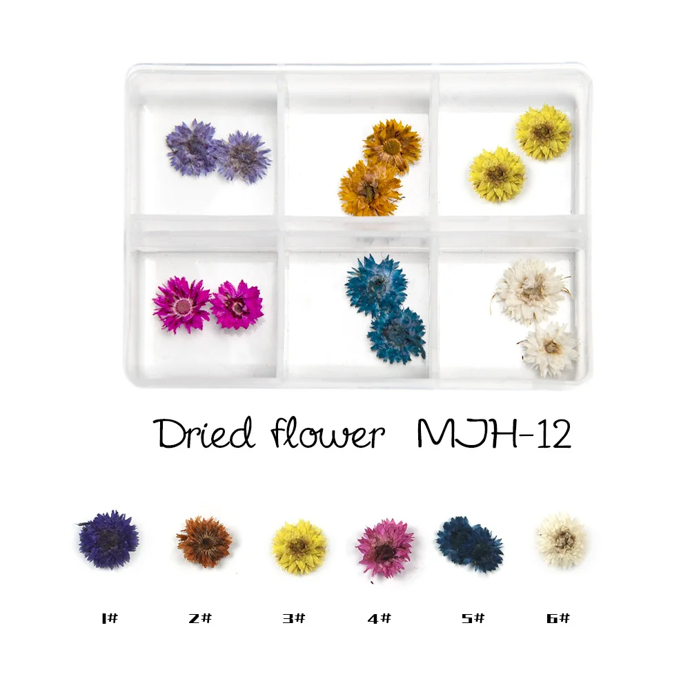 12 Color Starry Daisy Lace 3D Dry Flowers Stickers Real Nail Dried Flower Nail Art Decoration Tips DIY Manicure Tools With Box