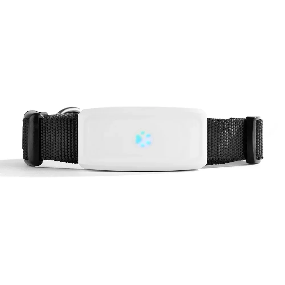 2G GSM GPS Tracker Pet TK911 GPS Locator TKSTAR Mini Pets Tracker 2G GSM With Free APP Waterproof IP67 Gps Tracker