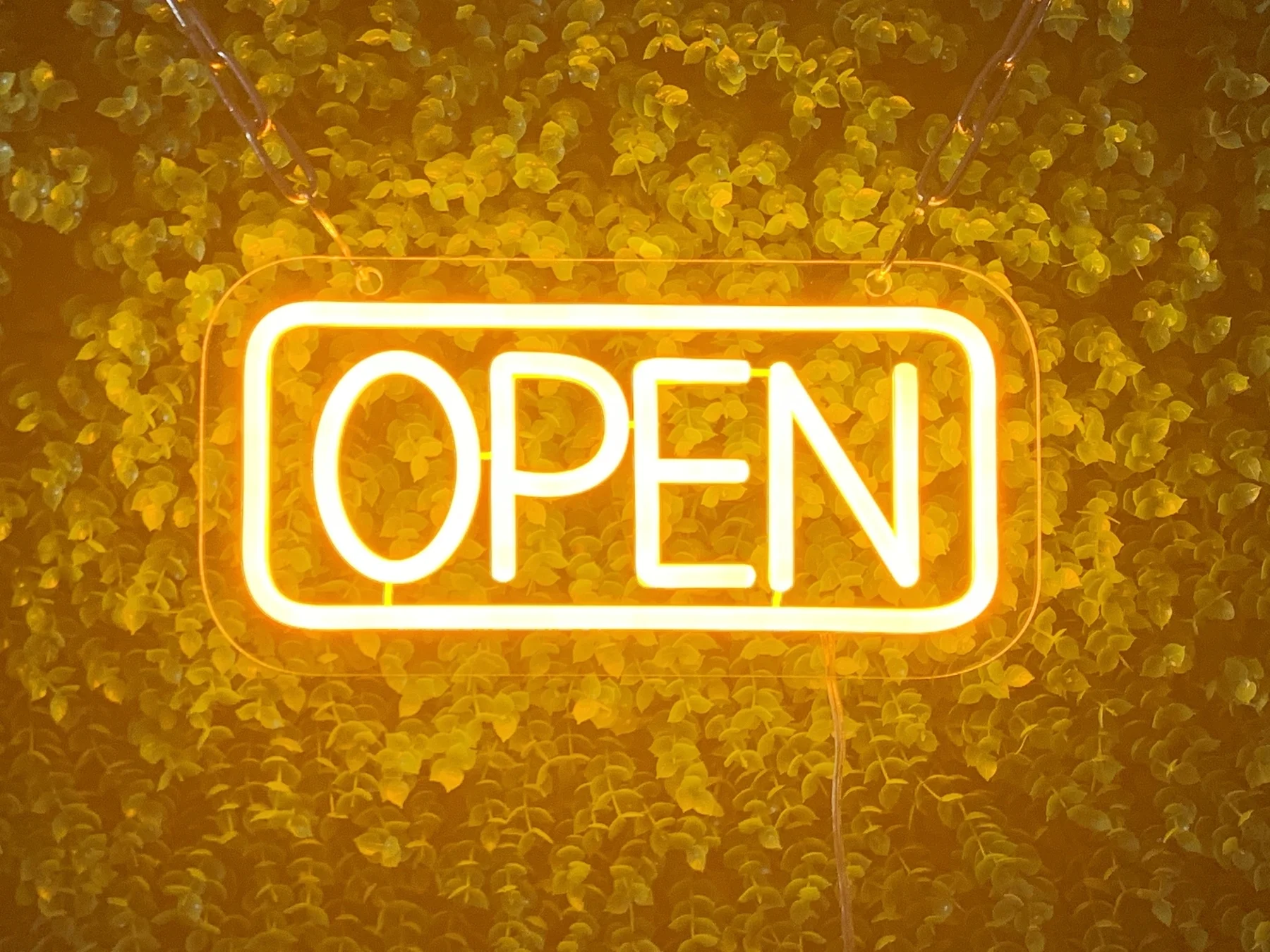 d86449087360c1f42427538597f0fcd.jpg_.webp d86449087360c1f42427538597f0fcd.jpg_.webp