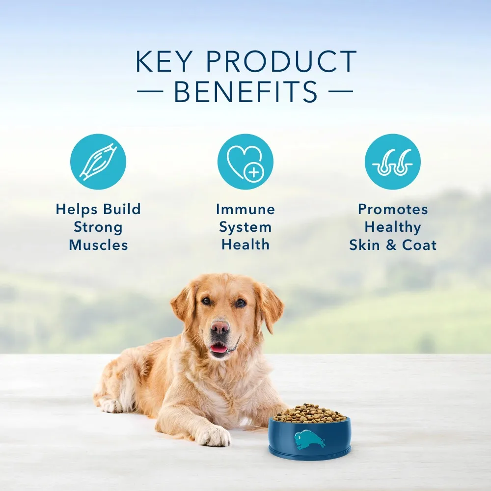 Dog Feed Dry Food for Dogs Whole Grain Formula Beef and Brown Rice Dry Dog Food for Adult Dogs 15 Lb. Bag Feeding