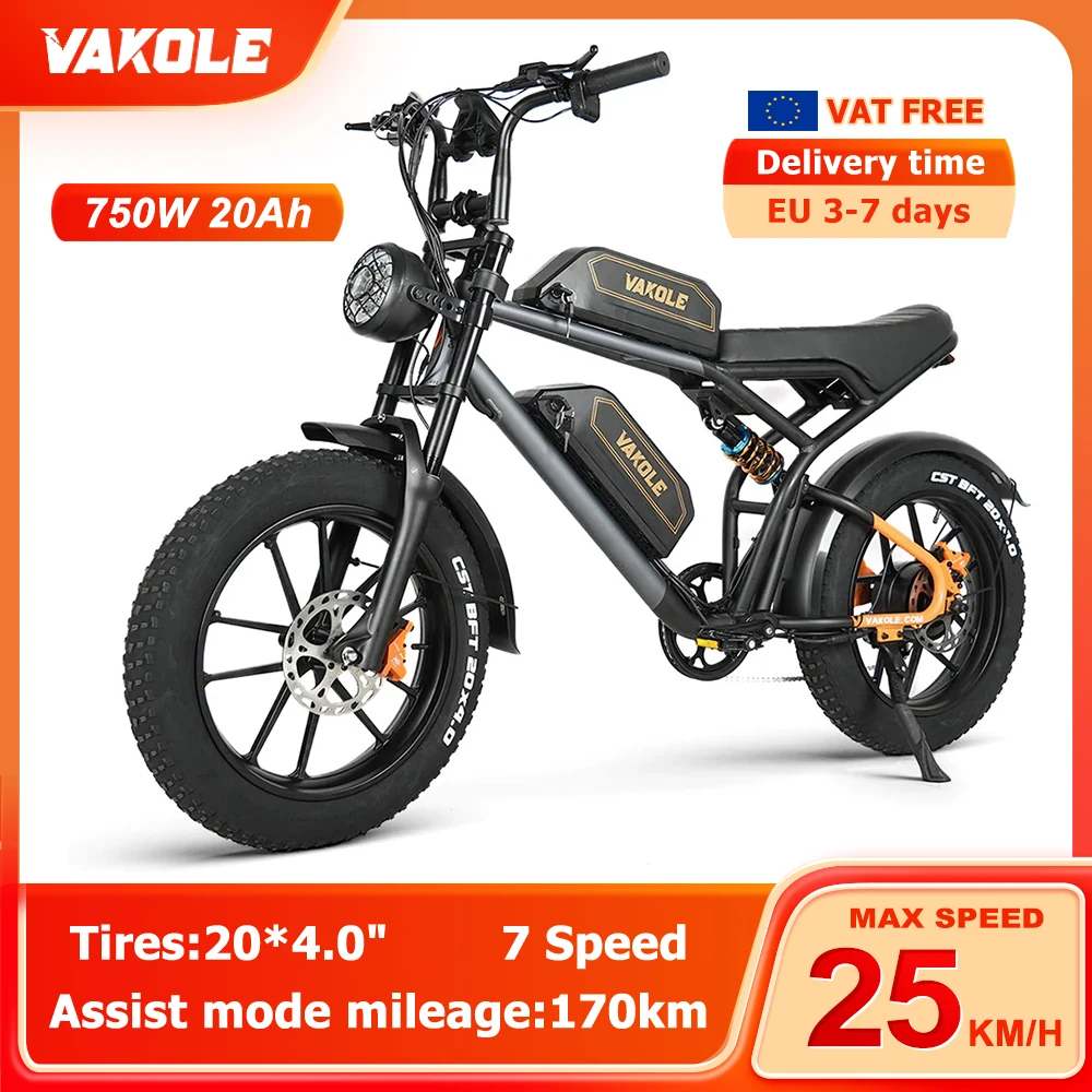Vakole Q20 750W 20 "Fat Bike Full Suspension E-Mountain Bike Con Batterie Dual Samsung 20Ah * 2 E-Mtb