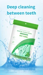 Mint Dental Floss Picks Set - Fresh Mouth Cleaning Tools, 100 Pack (MINT DENTAL FLOSS)