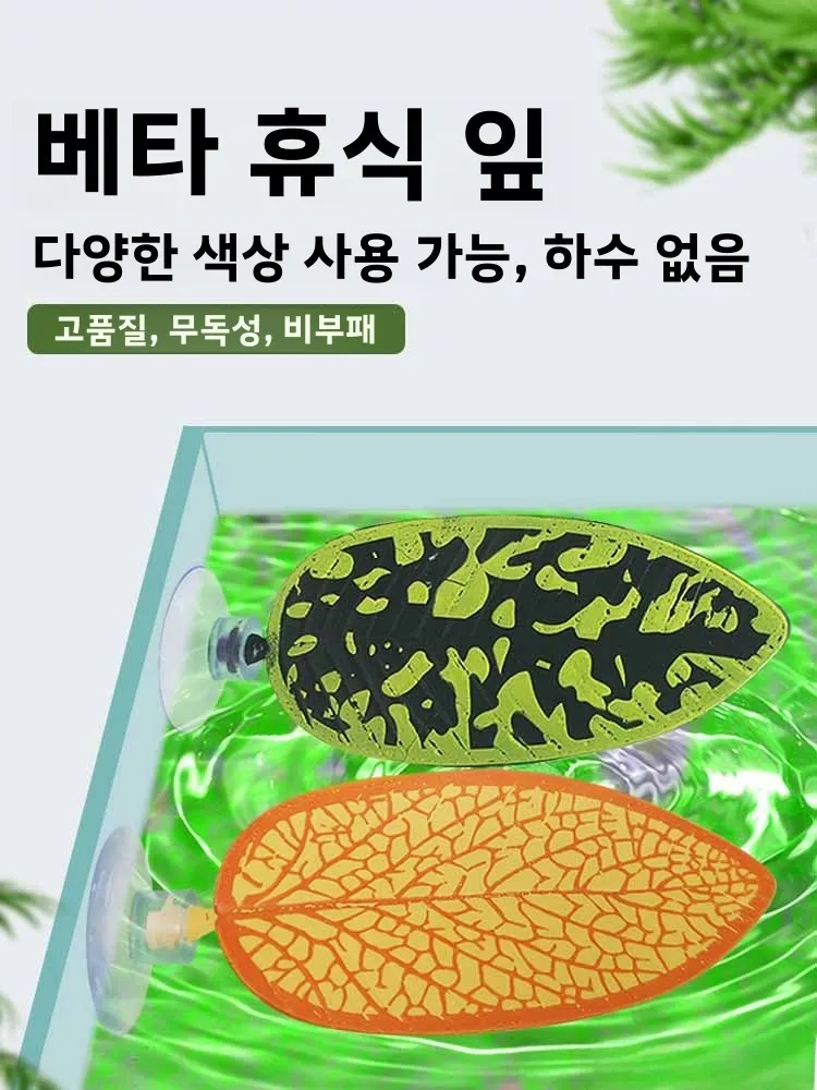수초 조경 식물 수초 조경 심장형 수초 조경 심장형 수초 조경 심장형 수초 조경 심장형 수초 조경 심장형 수초 조경 심장형 수초 조경 심장형 수초 조경 심장형 수초 조경 심장형 수초 조경 심장형 수초 조경 심