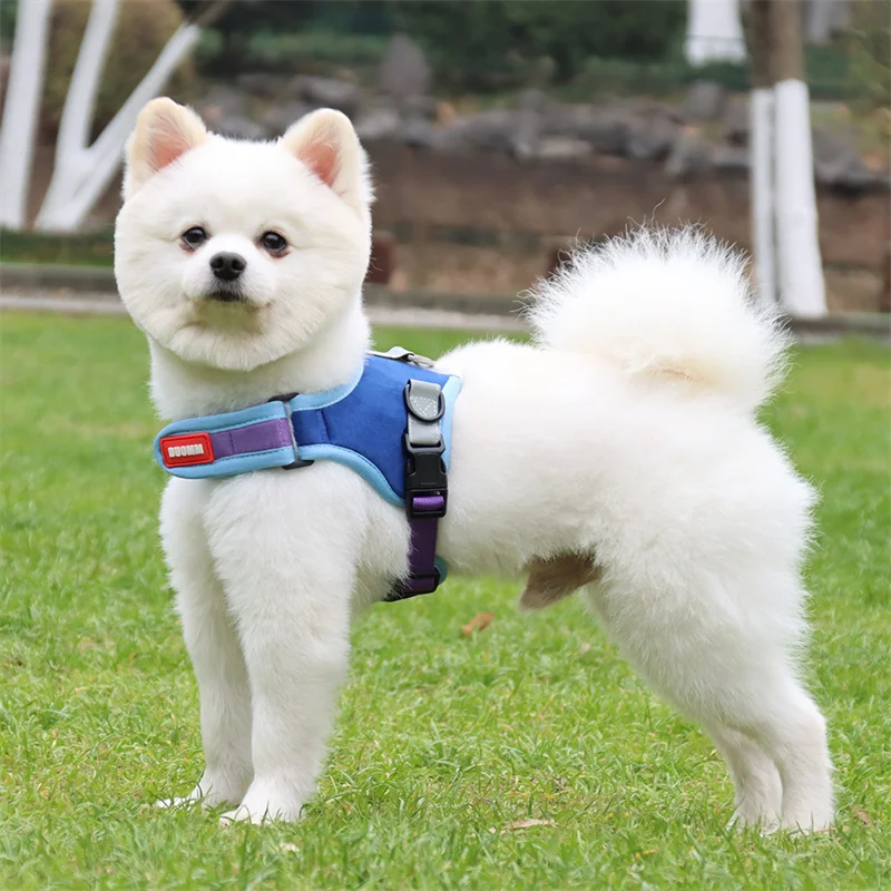 best harness for pomeranian puppy