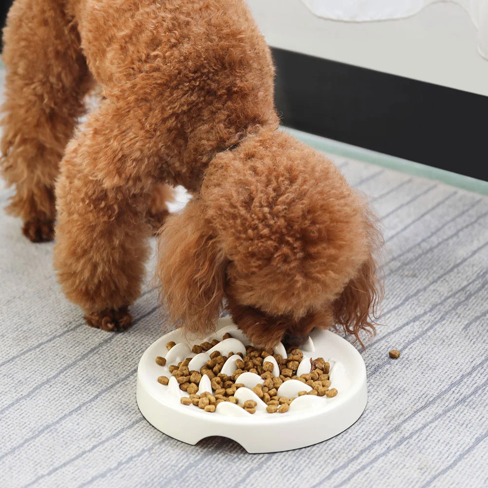 

Household Feed Bowl Indoor Dog Bowl Convenient Pet Food Bowl Pet Accessory