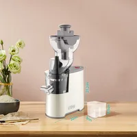 Slow Juicer Cold Press Large Caliber Electric Juicer Extractor Filter Free Easy Wash Electric Fruit Apple Orange Citrus Juicer 1