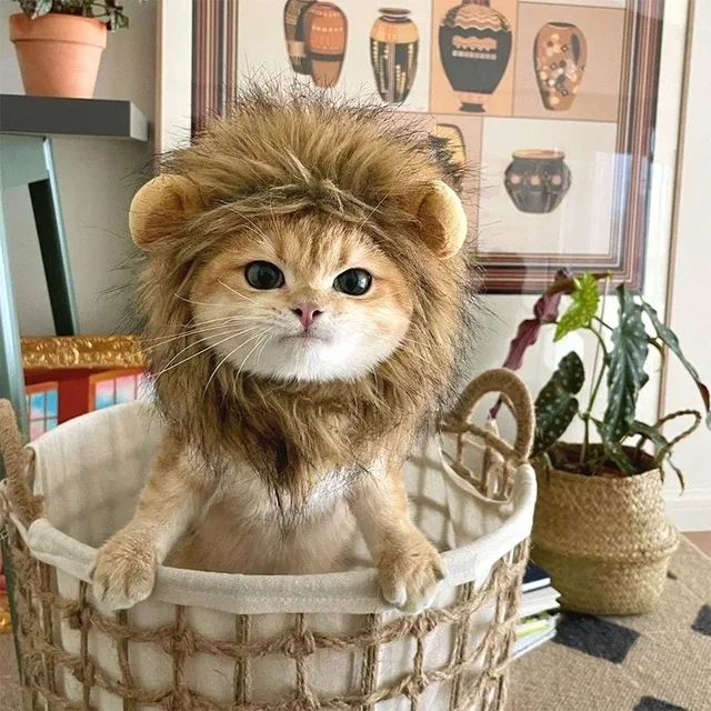 Cute Cat Hat Lion Headgear Elastic Autumn Winter Pet Hat Puppy Kittens Hat Party Photo Shoot Props Decoration Cat Accessories 5