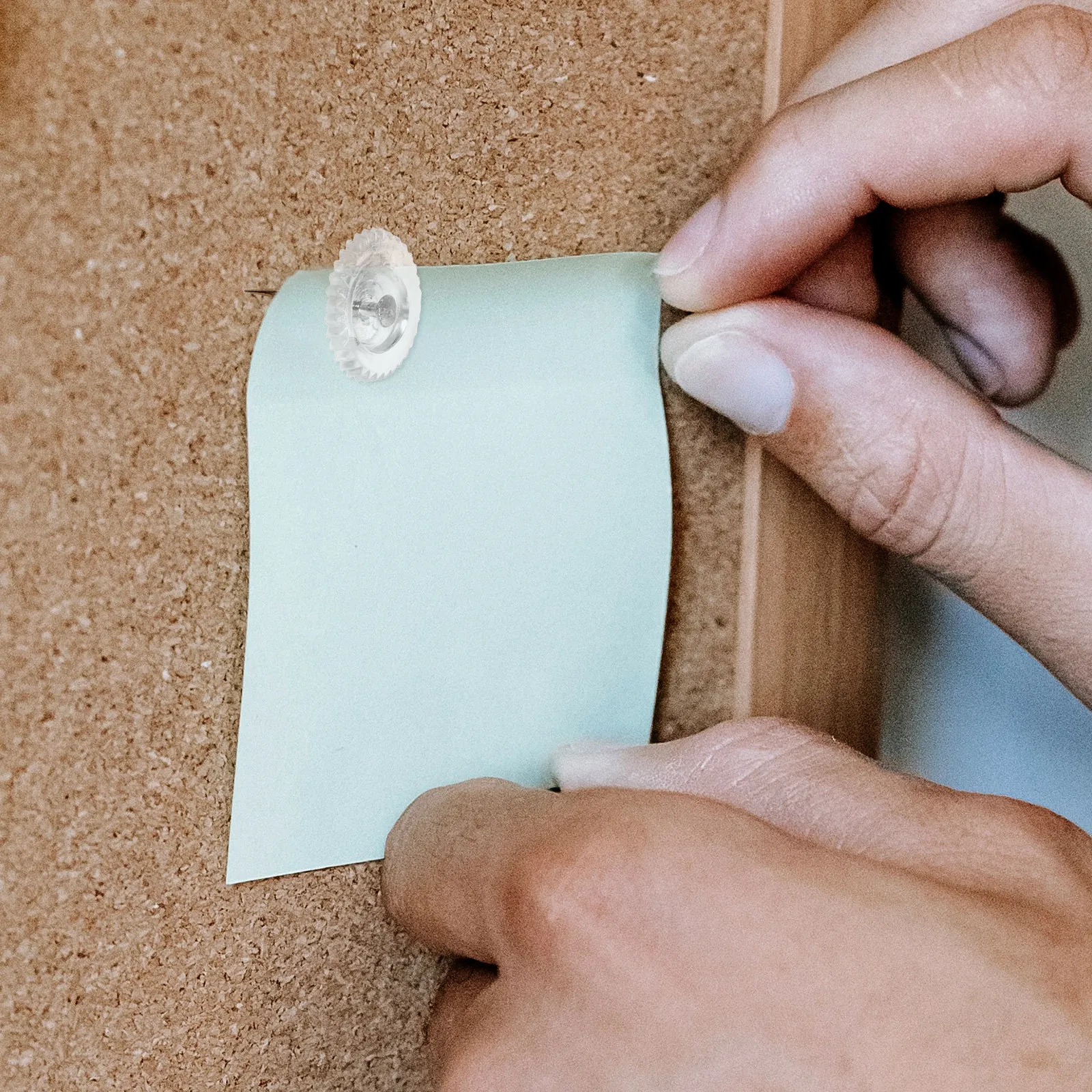100개 투명 플라스틱 푸시핀/핀, 사무실 게시판, 지도 표시, 사진 벽, DIY 장식, 그림 용지 고정용