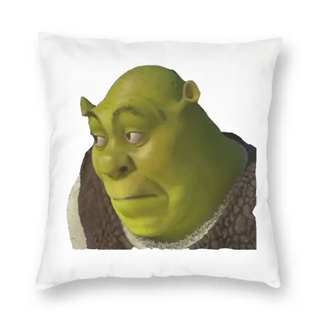 Gru No Meme Square Pillowcase Polyester Linen Velvet Printed Zip Decorative  Sofa Cushion Cover - Pillow Case - AliExpress