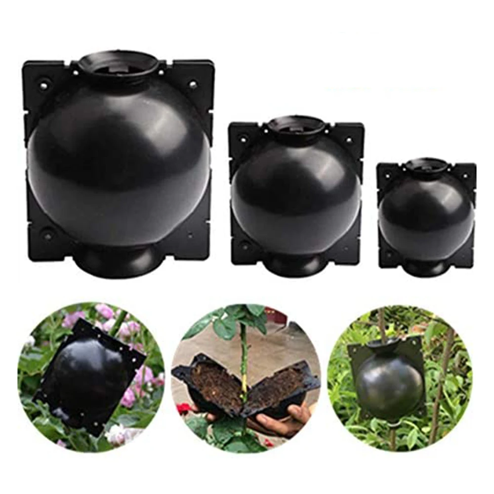 

Botany Plant Rooting Root Device Pressure Propagation Ball Box Grafting Garden Supplies Accessories And Parts 6PCS