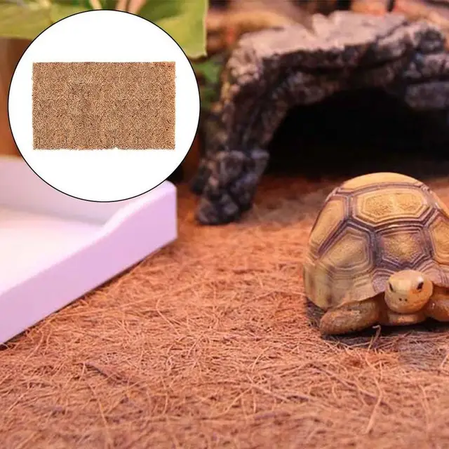 Kókuszdió Bélés Vastag -Kókuszdisznó -Lepedők Csipetes Padlószőnyeg Virágpot Kosárhoz Rost Pálma Szőnyeg - Image 4