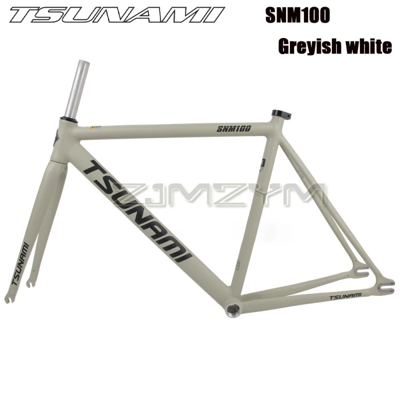 TSUNAMI SNM100 Chameleon 55CM　フレーム TSUNAMI SNM100 Chameleon 55CM フレーム Chameleon Frame